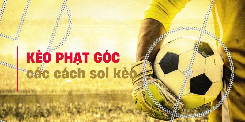 Kèo này hội tụ đủ những cách soi kèo với đa dạng mức thưởng